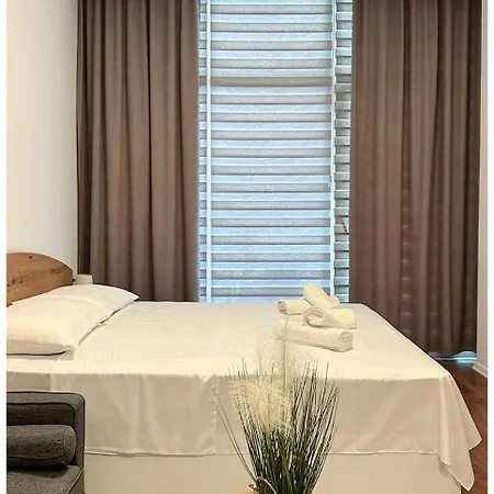 公寓 Anisa's 地拉那